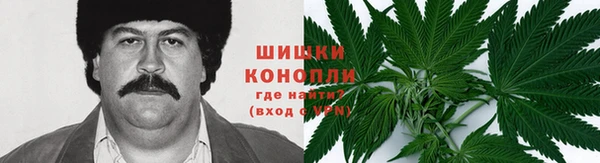 spice Алексин