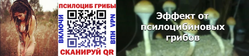 Псилоцибиновые грибы прущие грибы Сибай