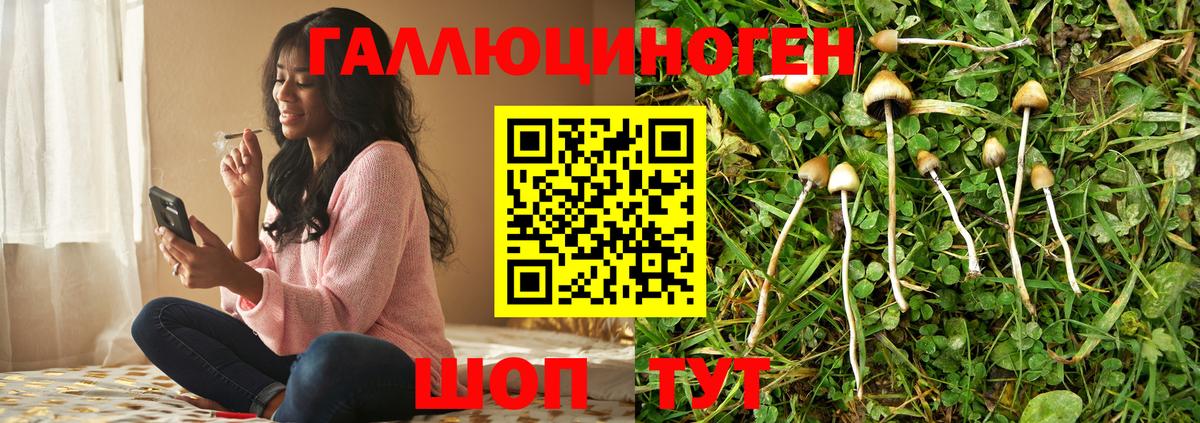 Сибай  наркошоп  Вход с VPN  Псилоцибиновые грибы GOLDEN TEACHER 