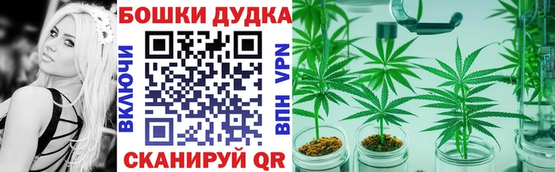 наркошоп  мега онион  Конопля план  Сибай 